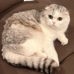 Meet your Posher, Sally